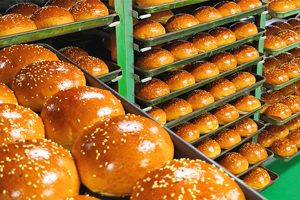 探秘汉堡面包胚的“诞生记”